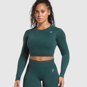 Adapt Fleck Seamless Long Sleeve Crop Top B2A1C-894