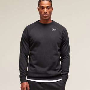 Crest Sweatshirt A2A1V-1578