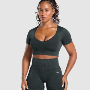 Gains Seamless Washed Crop Top B3C2V-930