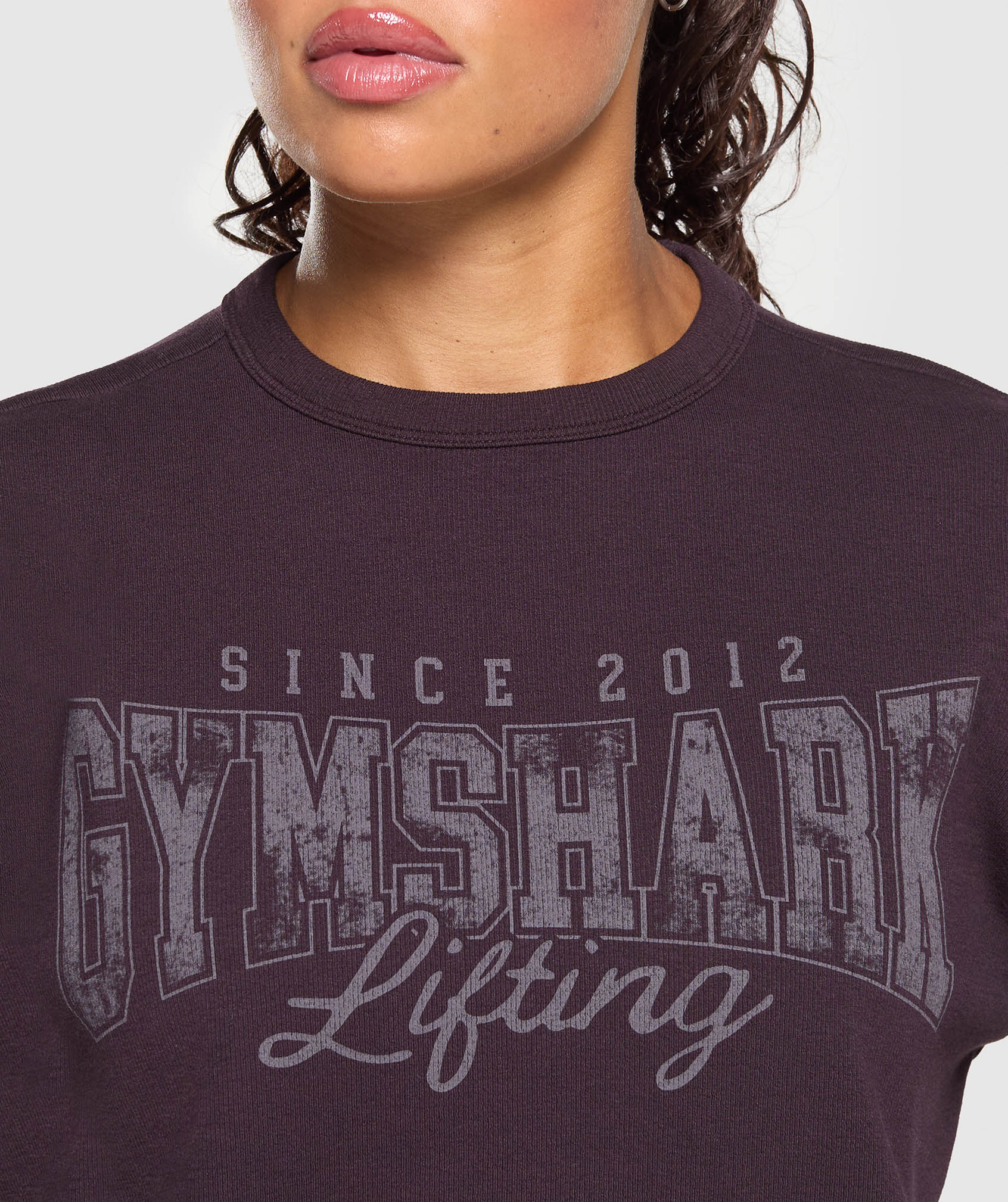 Lifting Oversized Pump Cover - Image 6