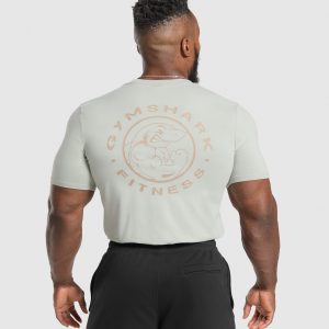 Legacy T-Shirt A5A3B-1667