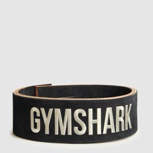 Lever Lifting Belt I3A5M-729