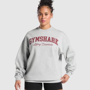 Lifting Essentials Graphic Brushed Oversized Sweatshirt B3C1I-881