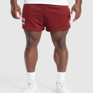 Lifting Mesh 5' Shorts A1B9X-1676