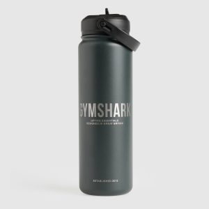 Metal Insulated Straw Bottle 700ml I1C2D-1784