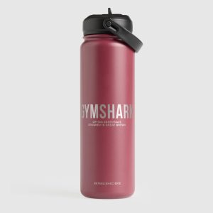 Metal Insulated Straw Bottle 24oz I1C2D-1789