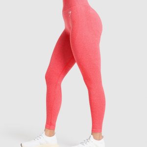Vital Leggings B1A2B-877