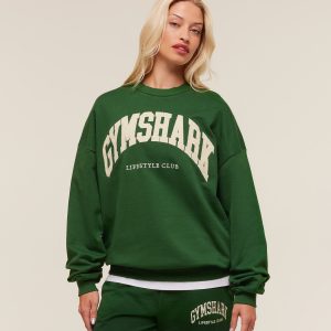 Collegiate Graphic Crew Neck Pullover B4C8Z-586