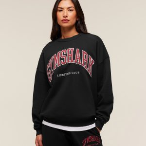 Collegiate Graphic Crew Neck Pullover B4C8Z-394