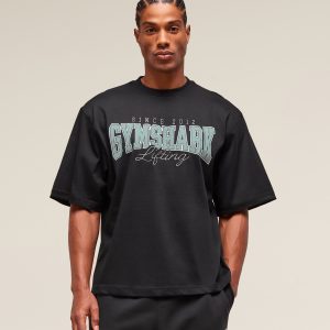 Lifting Essentials T-Shirt A2B8F-1877