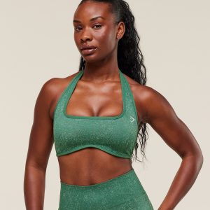 Adapt Fleck x Whitney Halterneck Sports Bra B4C1J-471