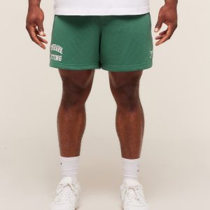 Lifting Mesh 5' Shorts A4B7V-1107