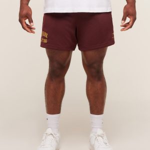 Lifting Mesh 5' Shorts A4B7V-1098