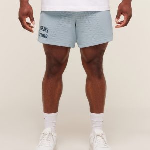 Lifting Mesh 5' Shorts A4B7V-1350