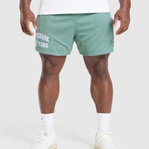 Lifting Mesh 5' Shorts A1B9X-1664