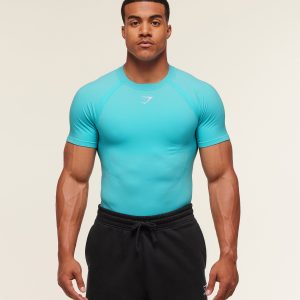 Shadow Seamless T Shirt A1B2A-1527