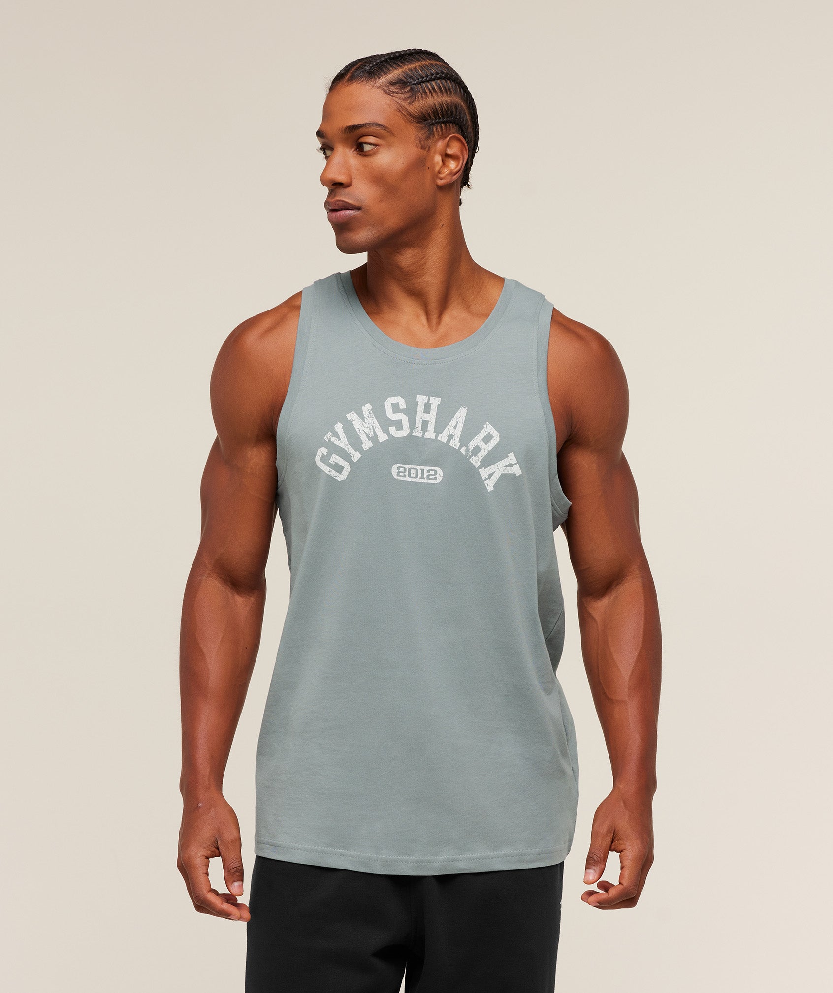 2012 Strength Tank - Image 4