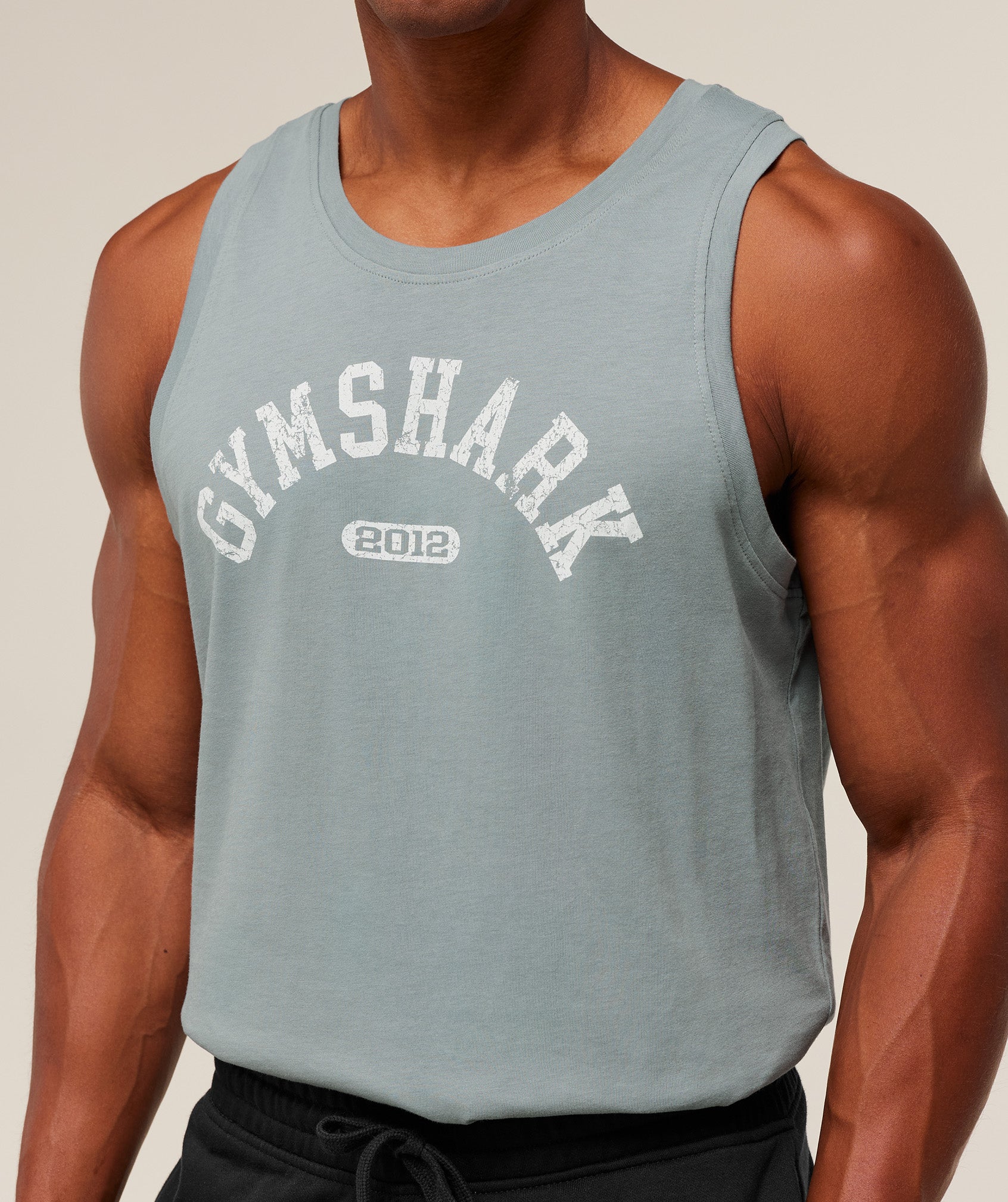 2012 Strength Tank - Image 5