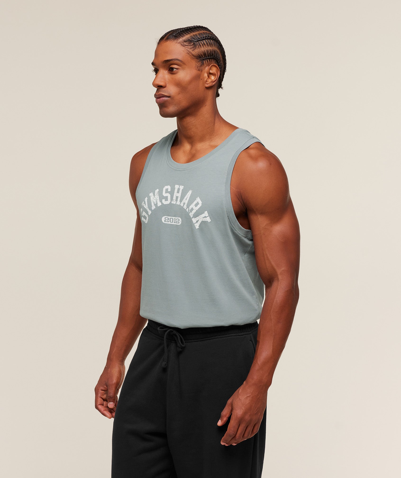2012 Strength Tank - Image 3