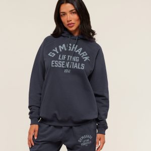 Lifting Essentials Hoodie